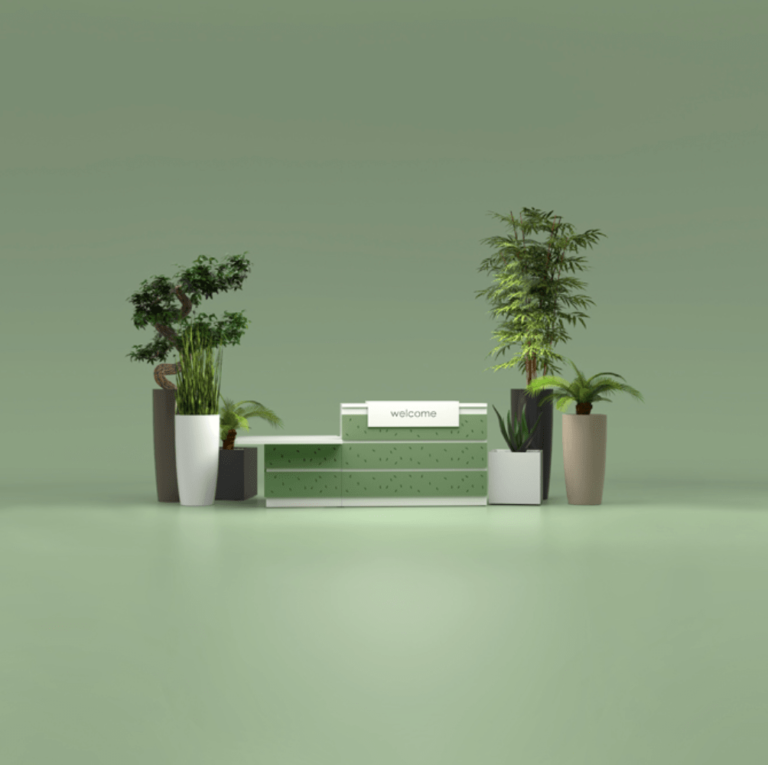 décoration plante