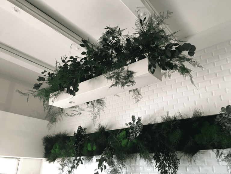 décoration plante moderne